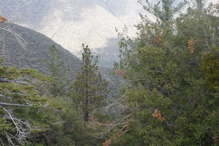 Gobbler's Knob Yellow Post Sites Picture 5