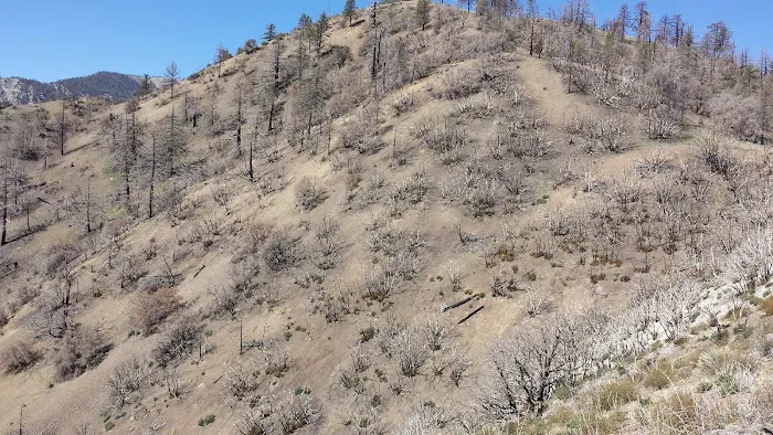 Gobbler's Knob Yellow Post Sites Picture 8