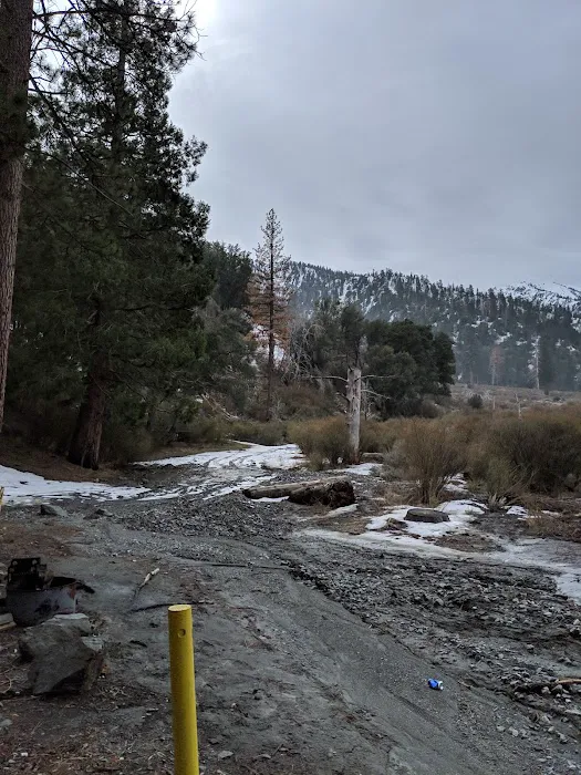 Gobbler's Knob Yellow Post Sites Picture 9