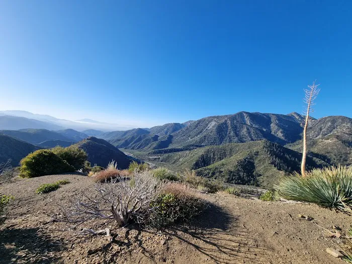 Gobbler's Knob Yellow Post Sites Picture 7