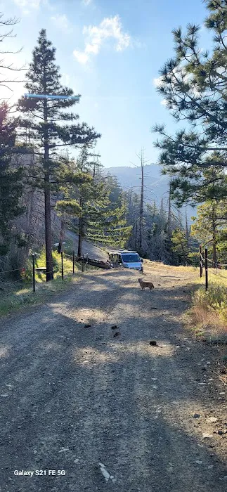 Gobbler's Knob Yellow Post Sites Picture 2