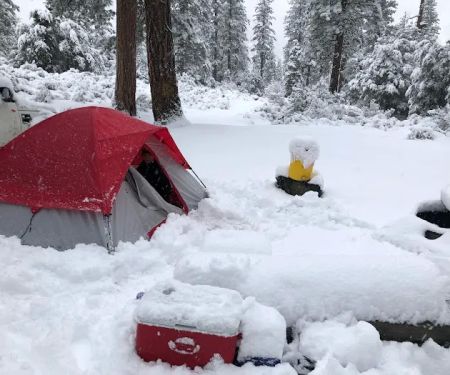 Stockton Flats Yellow Post Sites