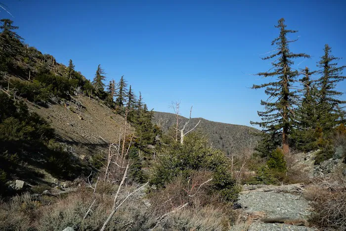 Coldwater Canyon Yellow Post Sites Picture 2