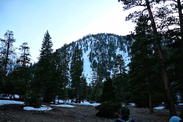 Coldwater Canyon Yellow Post Sites Picture 1