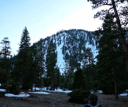 Coldwater Canyon Yellow Post Sites