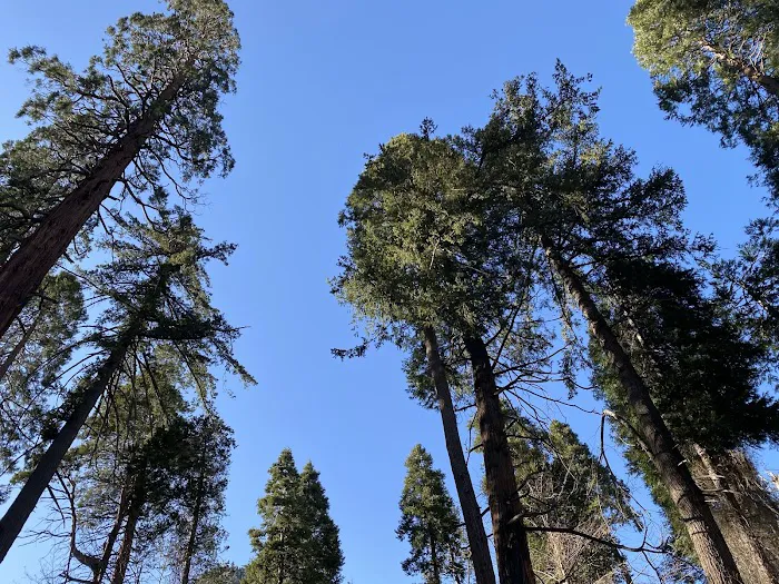 Stone House Crossing Campground Picture 2