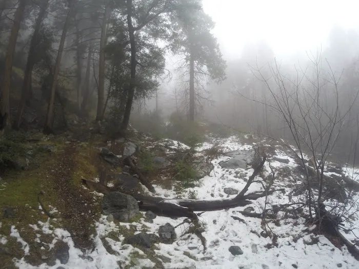 Stone House Crossing Campground Picture 5