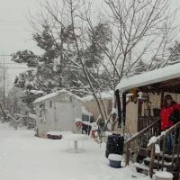 Sleepy Hollow Estates ico