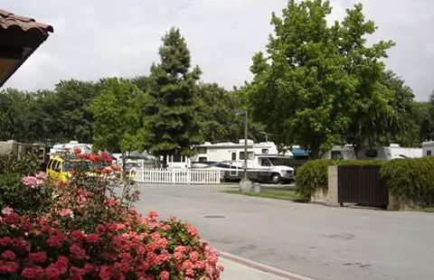 Fairplex RV Park Picture 4