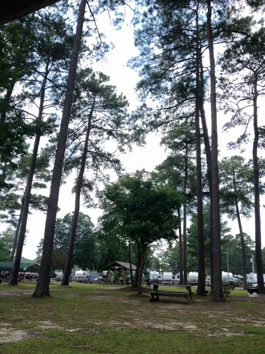 Waldo's Beach Campground Picture 9