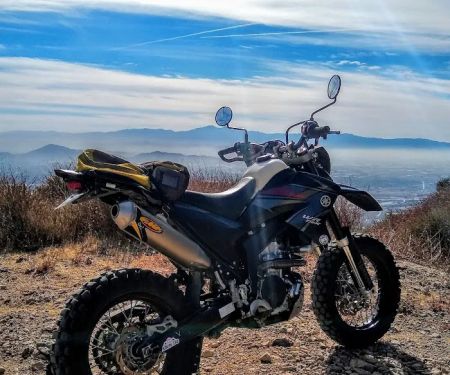 Joe Elliot Yellow Post Sites