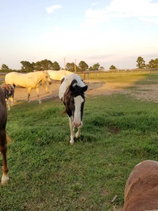 Southern Comfort Air Ranch Picture 2