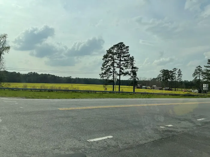 Southern Comfort Air Ranch Picture 8