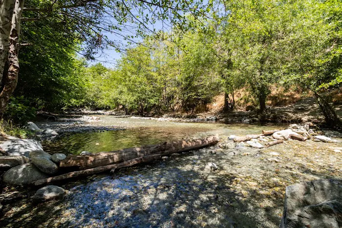 Bonita Ranch Campground Picture 3