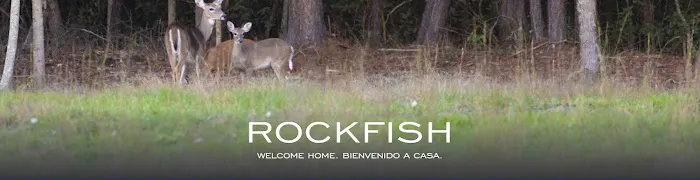 Rock Fish Mobile Home Community Picture 7