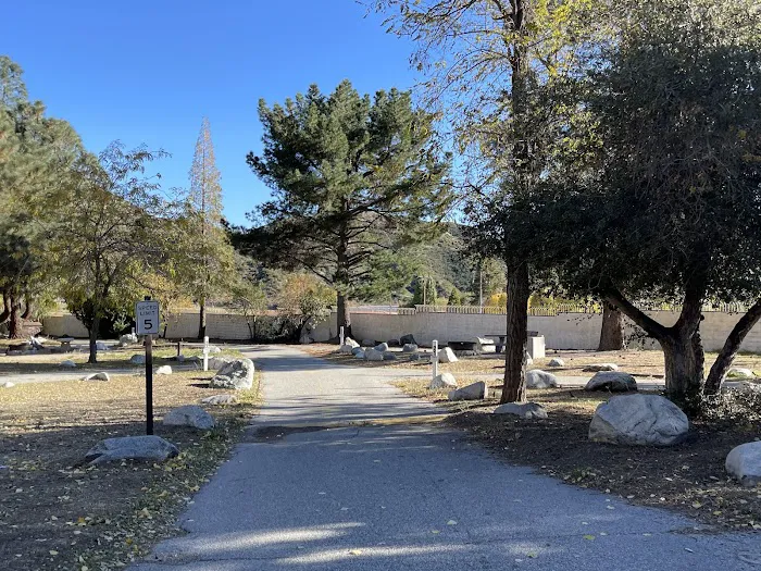 Applewhite Campground Picture 5