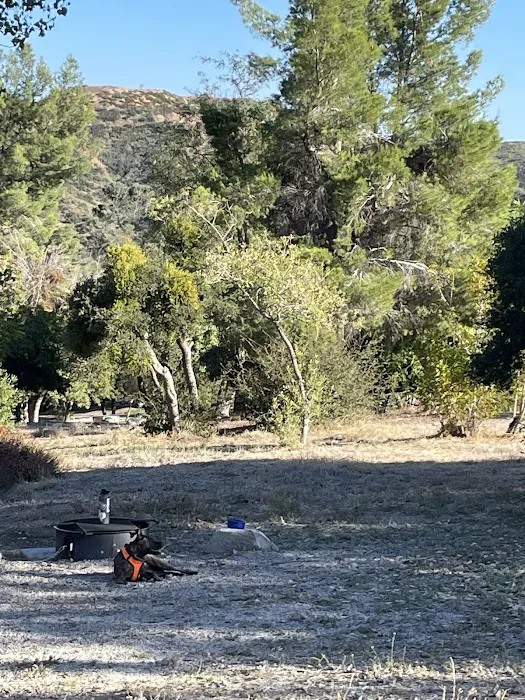Applewhite Campground Picture 2