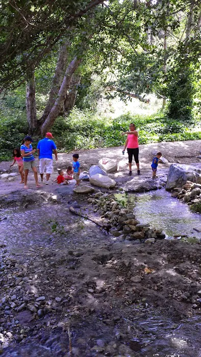 Applewhite Campground Picture 10