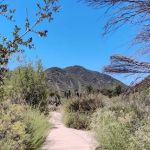 Lytle Creek - Cajon Pass Recreation Area