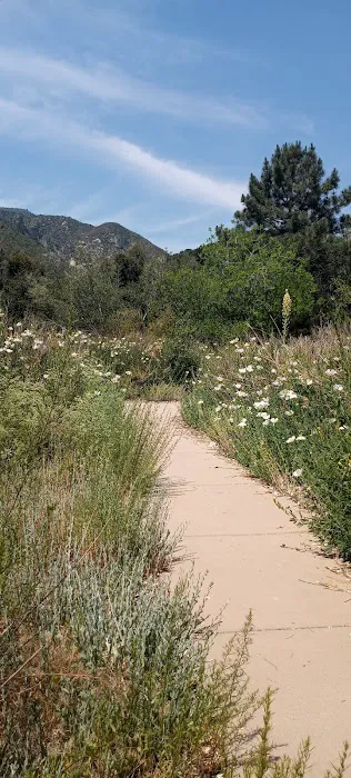 Lytle Creek - Cajon Pass Recreation Area Picture 6