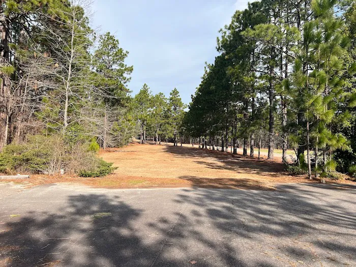 Pinecove RV and Villa Rental Picture 6