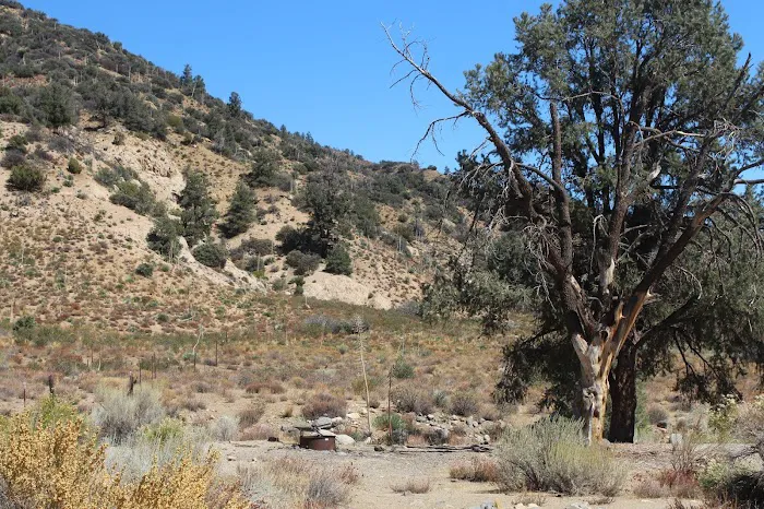 Sunset Campground, near gold mine. Picture 1