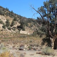 Sunset Campground, near gold mine. ico