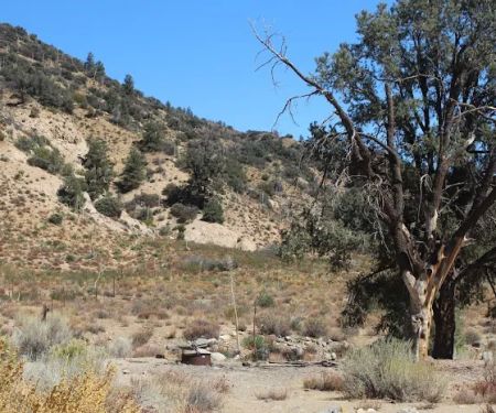 Sunset Campground, near gold mine.