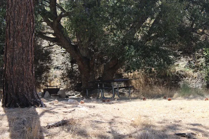 Sunset Campground, near gold mine. Picture 2