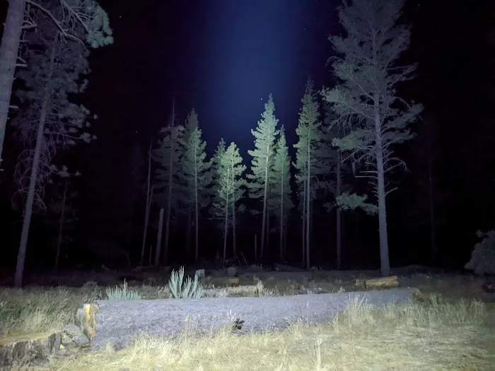 Halfmoon Campground Picture 6