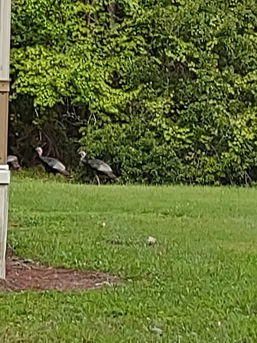 Turtle Cove mobile home park Picture 1