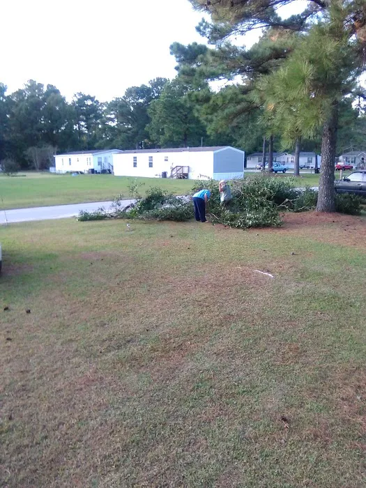 Turtle Cove mobile home park Picture 2