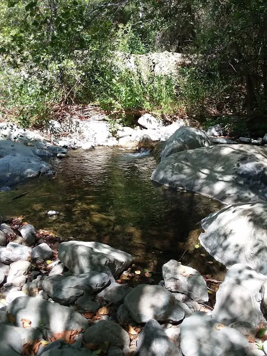 Big Cone Campground Picture 9