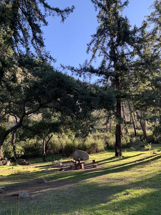 Big Cone Campground Picture 4