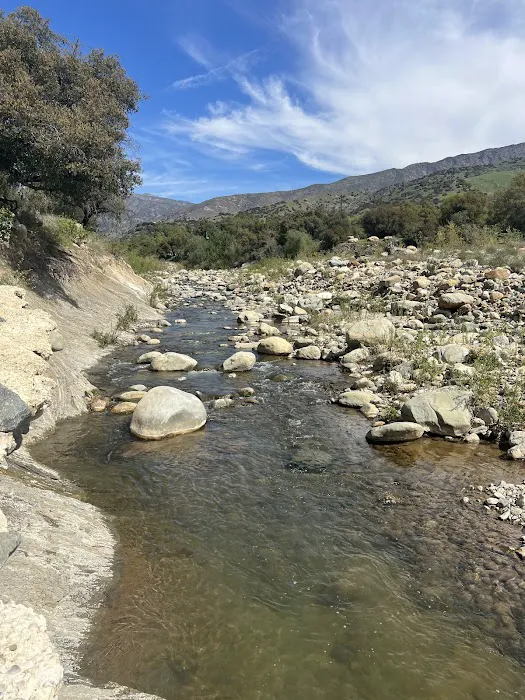 Big Cone Campground Picture 3