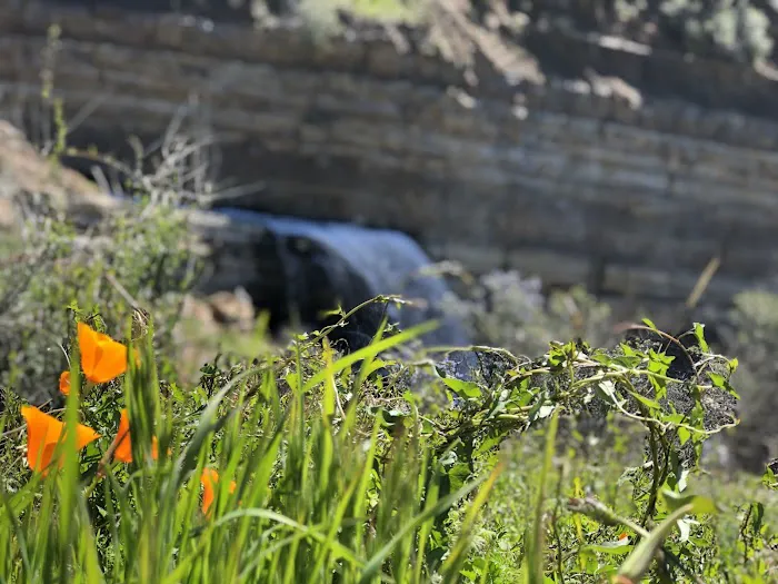 Jackson Camp Picture 9