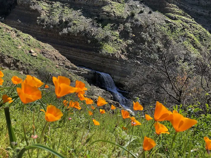 Jackson Camp Picture 7