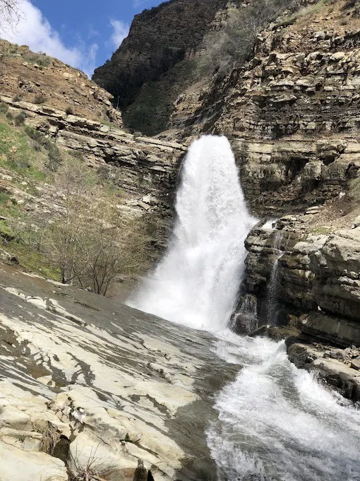 Jackson Camp Picture 3