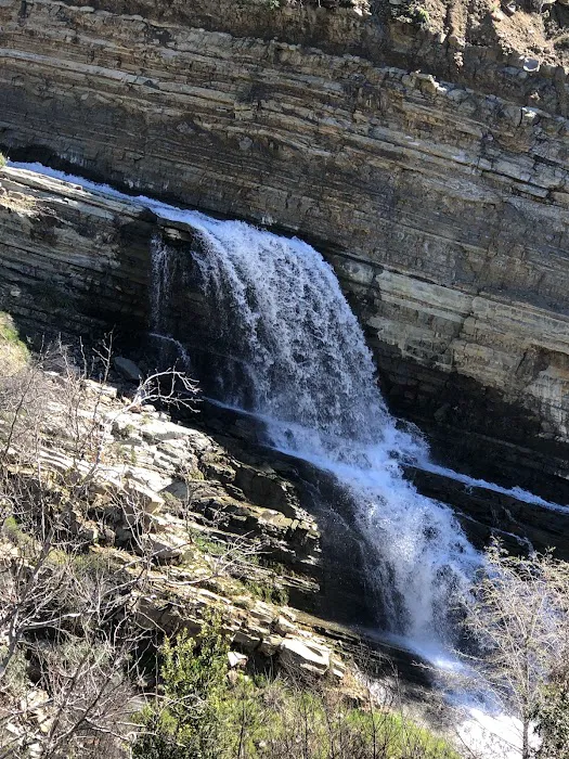 Jackson Camp Picture 10