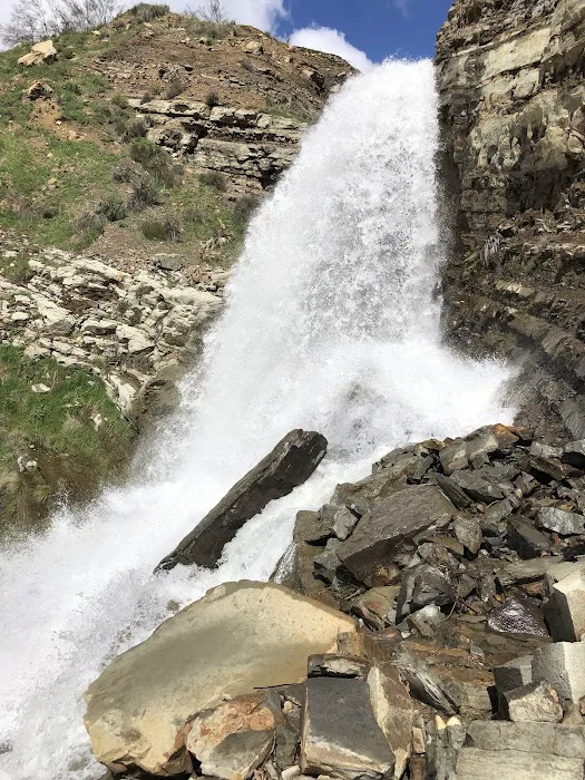 Jackson Camp Picture 6