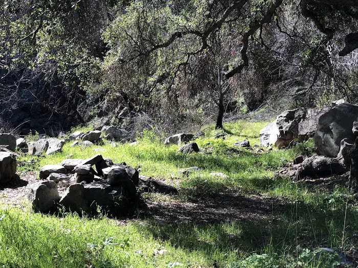 Jackson Camp Picture 4