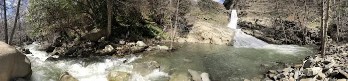 Jackson Camp Picture 2