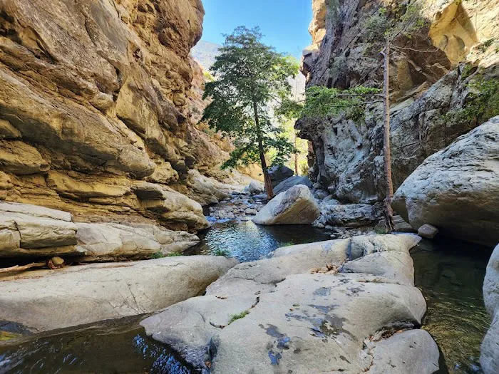 Jackson Camp Picture 1