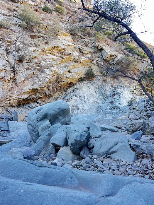 Jackson Camp Picture 5