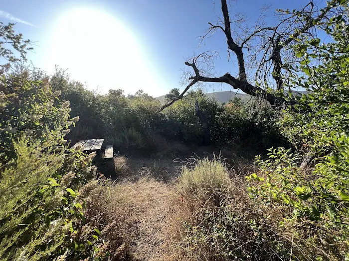 La Jolla Valley Walk-In Camp Picture 9