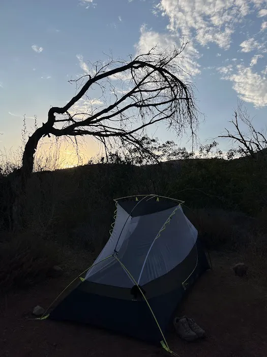 La Jolla Valley Walk-In Camp Picture 4