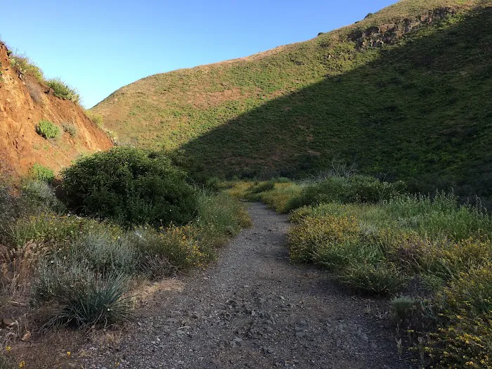 La Jolla Valley Walk-In Camp Picture 5
