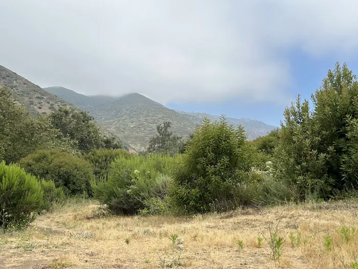 Leo Carillo Campground Picture 1