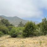 Leo Carillo Campground