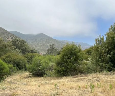 Leo Carillo Campground